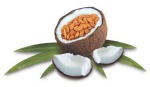 Coconut & Almond Milk